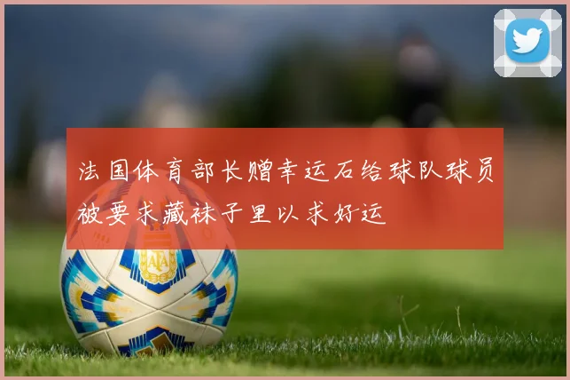 法国体育部长赠幸运石给球队球员被要求藏袜子里以求好运