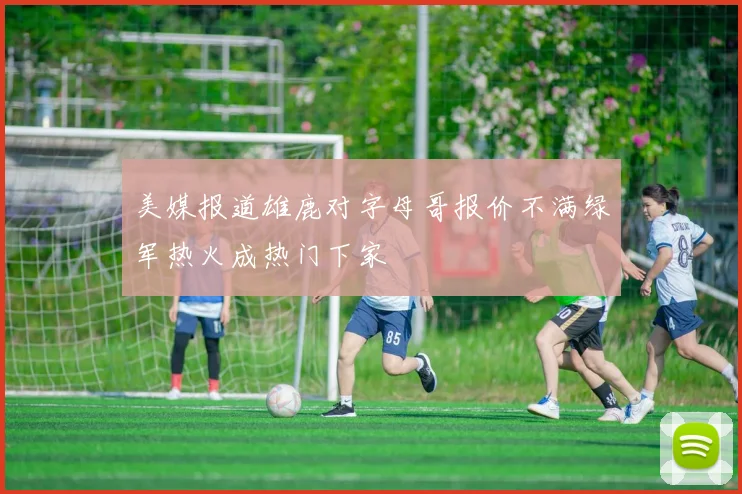 美媒报道雄鹿对字母哥报价不满绿军热火成热门下家