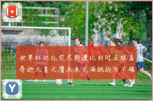 世界杯巡礼突尼斯遭比利时五球羞辱迦太基之鹰未来充满挑战与不确定性
