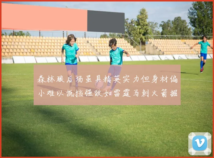森林狼后场虽具精英实力但身材偏小难以抵挡强敌如雷霆马刺火箭掘金